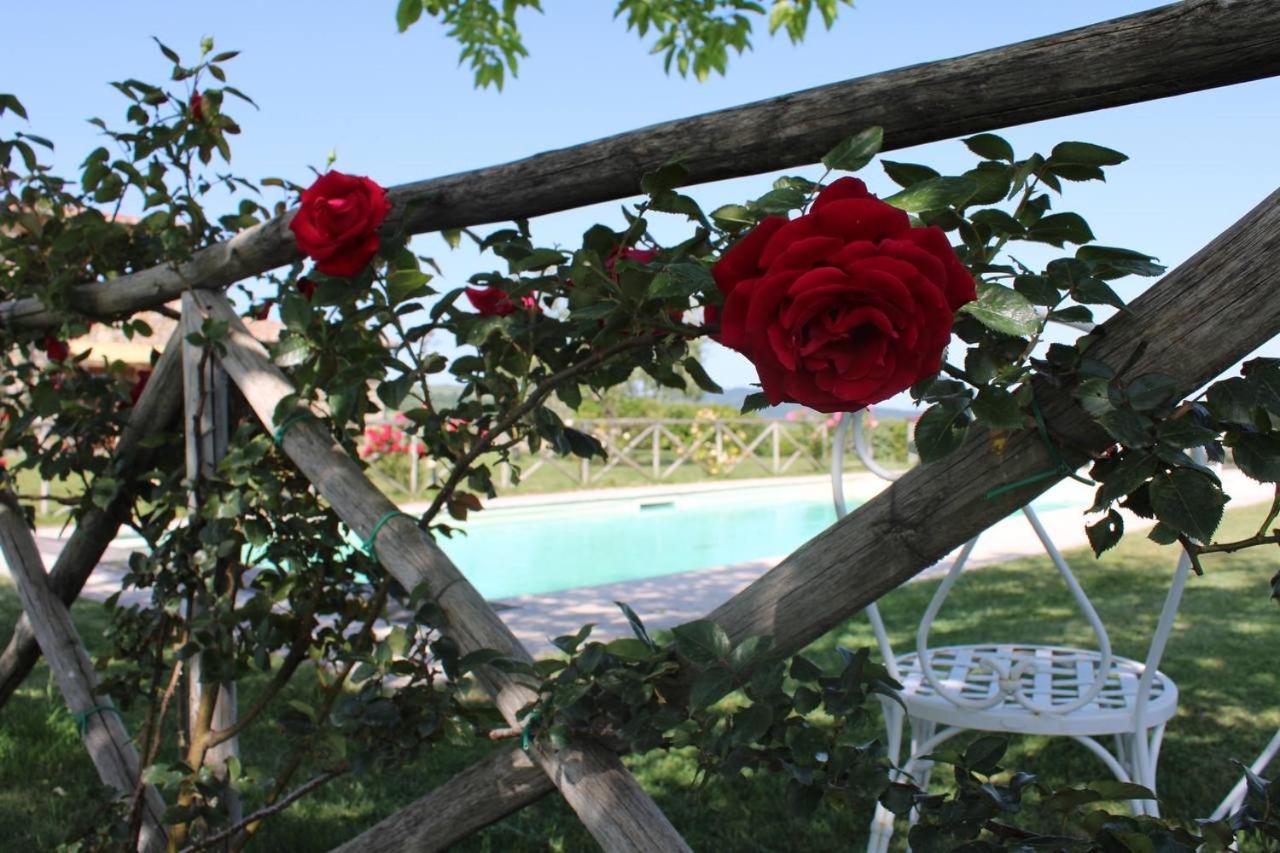 Villa Agriturismo La Paciarella Campiglia dʼOrcia Exterior foto